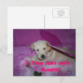 これは屈辱的だ、これは正しくない!!! ポストカード (正面/裏面)