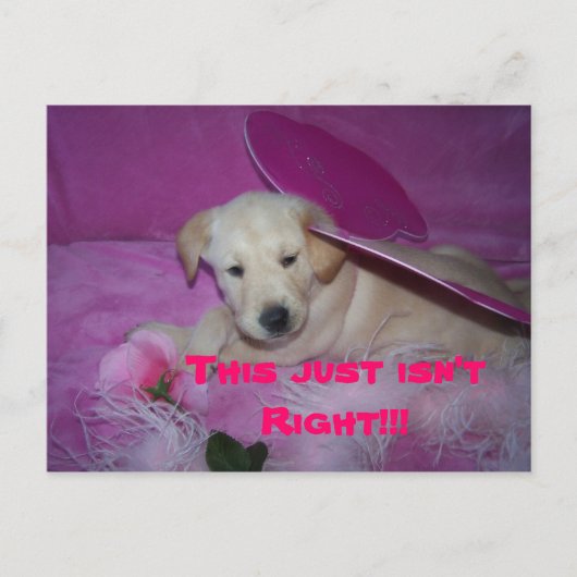 これは屈辱的だ、これは正しくない!!! ポストカード (正面)