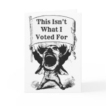 これは私が投票したことではない