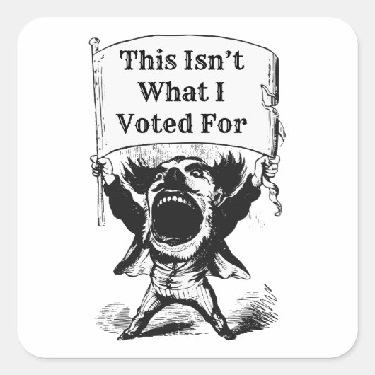 これは私が投票したことではない スクエアシール (正面)