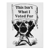 これは私が投票したことではない ポスター (正面)