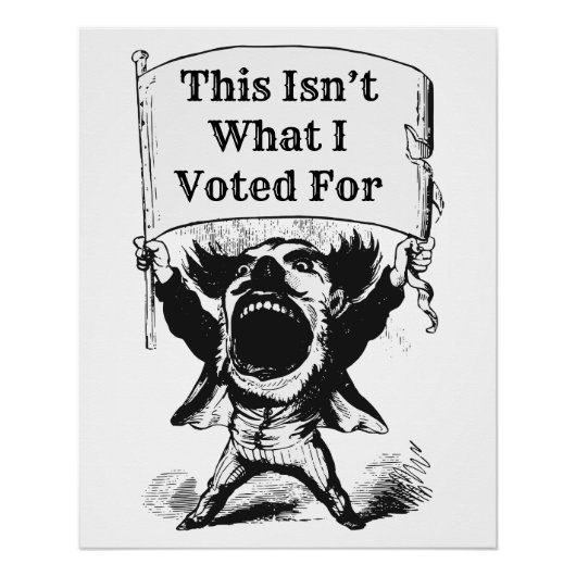 これは私が投票したことではない ポスター (正面)