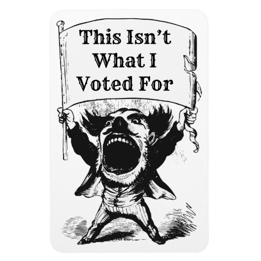 これは私が投票したことではない マグネット (縦)