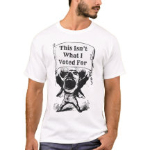 これは私が投票したことではない