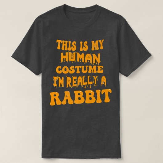 これは私の人間の衣装で私は本当にウサギのグルーヴだ Tシャツ (デザイン正面)