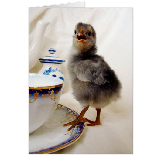 「これは私の契約の一部ではない (正面)