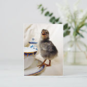 「これは私の契約の一部ではない ポストカード (スタンド正面)