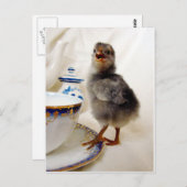 「これは私の契約の一部ではない ポストカード (正面/裏面)