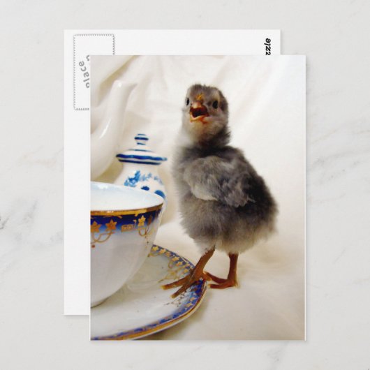 「これは私の契約の一部ではない ポストカード (正面/裏面)