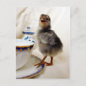 「これは私の契約の一部ではない ポストカード (正面)