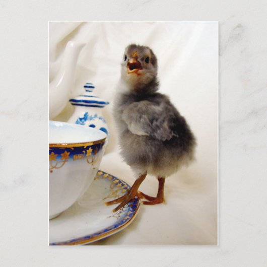 「これは私の契約の一部ではない ポストカード (正面)