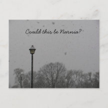 これはNarniaであるでしようか。