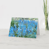 これもブルーベル引用文フローラ カード (正面)