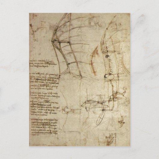 これより高い解像度は使用できない。レオナルド_デザイン_fo ポストカード (正面)