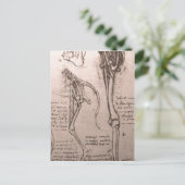 これより高い解像度は使用できない。レオナルド_anatomy_o ポストカード (スタンド正面)