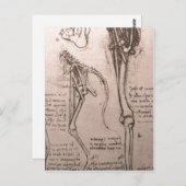 これより高い解像度は使用できない。レオナルド_anatomy_o ポストカード (正面/裏面)