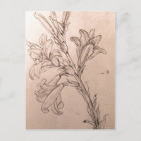 これより高い解像度は使用できない。レオナルド_lilies.JP
