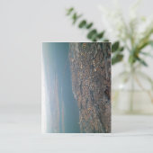 これより高い解像度は使用できない。Malmo_view2.jpg Su ポストカード (スタンド正面)