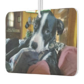 これらのお気に入りのに子犬の写真を追加 カーエアーフレッシュナー (左)