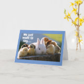 これらのかわいこちゃんは、**ハッピーバースデー**グループカードと言う カード (黄色い花)