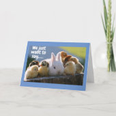 これらのかわいこちゃんは、**ハッピーバースデー**グループカードと言う カード (正面)