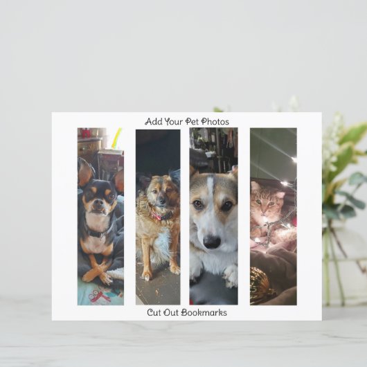 これらのブックマークにペットの写真と名前を追加 (スタンド正面)