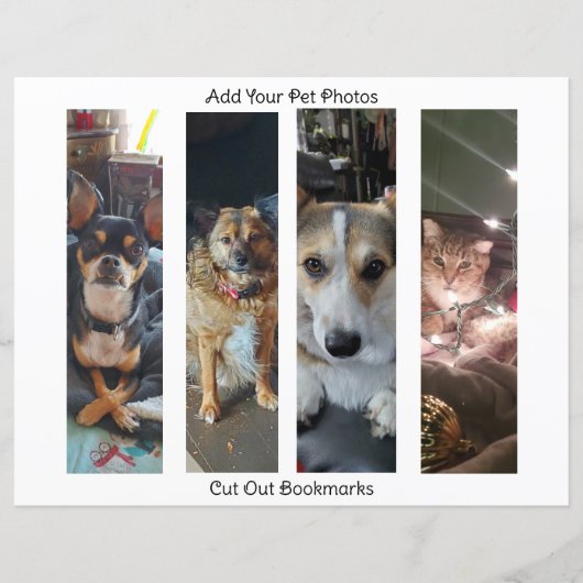 これらのブックマークにペットの写真と名前を追加 (正面)