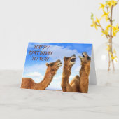 これらのラクダが歌う "ハッピーバースデー！お祝いしよう！ カード (黄色い花)