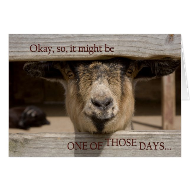 これらの日の1つを持つ (正面横)