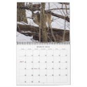 これらは私の事物のカレンダーのお気に入りの一部である カレンダー (3月 2026)