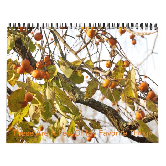 これらは私の事物のカレンダーのお気に入りの一部である カレンダー (カバー)