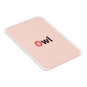 これらは色付きのアルファベットフラッシュカードである。 マグネット (右側)