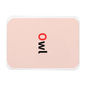 これらは色付きのアルファベットフラッシュカードである。 マグネット (横)