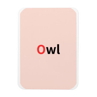 これらは色付きのアルファベットフラッシュカードである。 マグネット