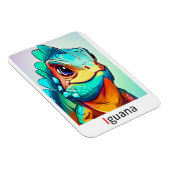 これらは色付きのアルファベットフラッシュカードである。 マグネット (右側)