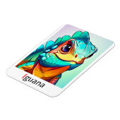 これらは色付きのアルファベットフラッシュカードである。 マグネット (左側)