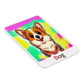 これらは色付きのアルファベットフラッシュカードである。 マグネット (右側)