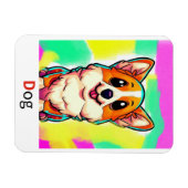 これらは色付きのアルファベットフラッシュカードである。 マグネット (横)