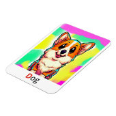 これらは色付きのアルファベットフラッシュカードである。 マグネット (左側)