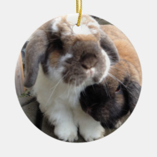 これら二つはあなたの木に多くのfurrinessを持って来ます セラミックオーナメント