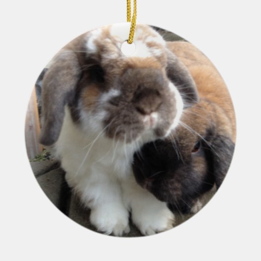 これら二つはあなたの木に多くのfurrinessを持って来ます セラミックオーナメント (正面)