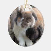 これら二つはあなたの木に多くのfurrinessを持って来ます セラミックオーナメント (左)