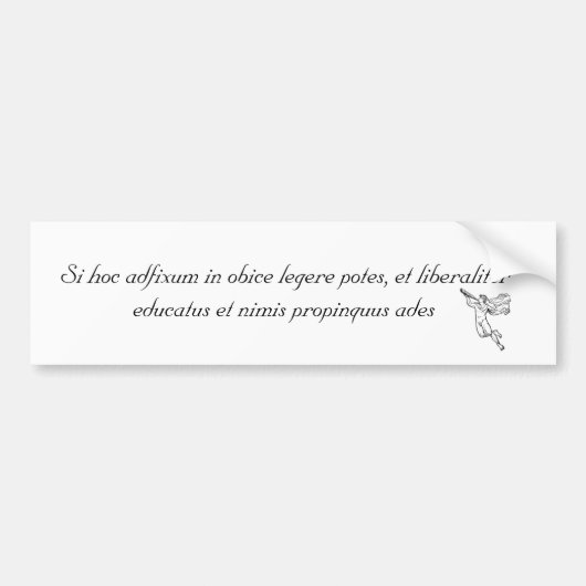 これを読むことができれば… ラテン系 バンパーステッカー (正面)