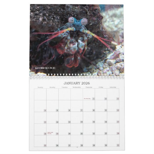 "これ以上の超人間的なMegafauna!" -カレンダー カレンダー (1月 2026)