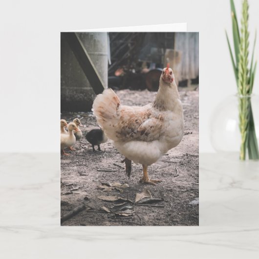 こんなに困ってごめんなさい カード (正面)