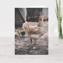 こんなに困ってごめんなさい