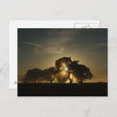 こんな朝に ポストカード (正面/裏面)