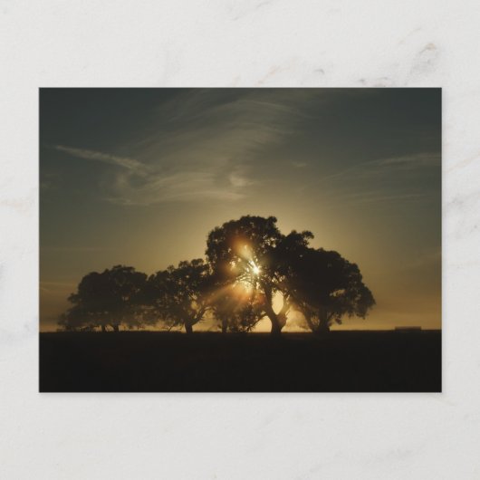 こんな朝に ポストカード (正面)