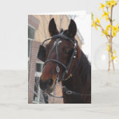 こんにちはこんにちは、アミッシュな馬 カード (黄色い花)