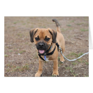 こんにちはそこに